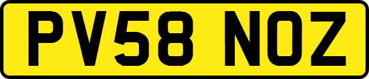 PV58NOZ