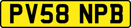 PV58NPB
