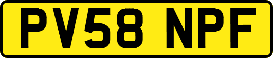 PV58NPF