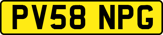 PV58NPG