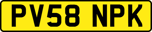 PV58NPK