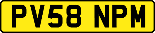 PV58NPM
