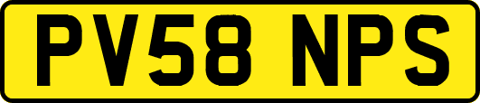 PV58NPS