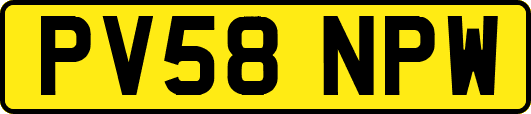 PV58NPW