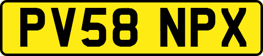 PV58NPX