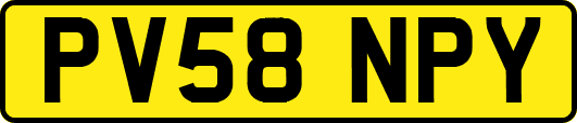 PV58NPY