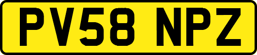 PV58NPZ