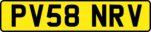 PV58NRV