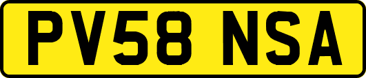 PV58NSA