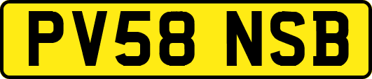 PV58NSB