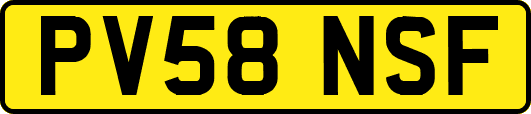 PV58NSF