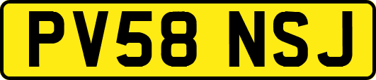 PV58NSJ