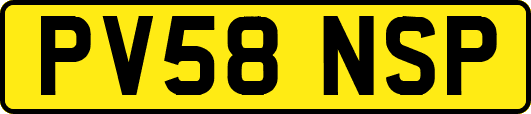 PV58NSP