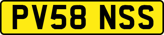 PV58NSS