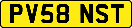 PV58NST