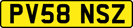PV58NSZ