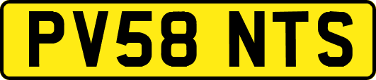 PV58NTS