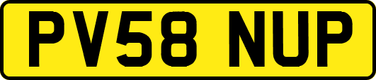 PV58NUP
