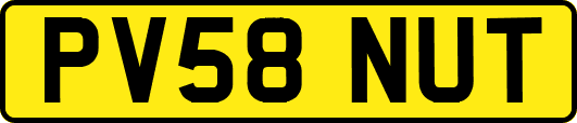 PV58NUT