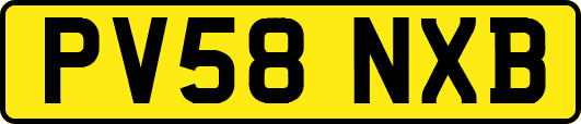PV58NXB