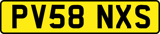 PV58NXS