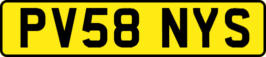 PV58NYS