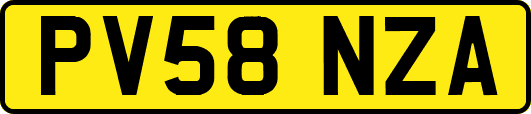 PV58NZA
