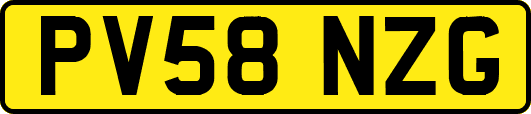 PV58NZG