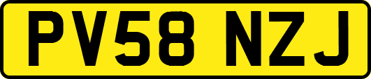 PV58NZJ