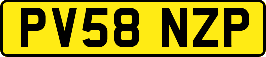 PV58NZP