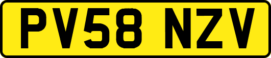 PV58NZV