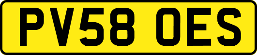 PV58OES