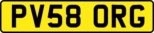 PV58ORG