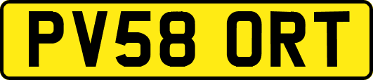 PV58ORT