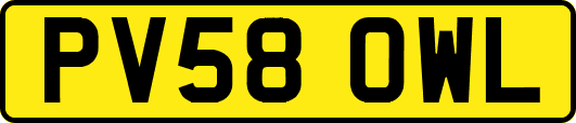 PV58OWL