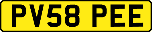 PV58PEE