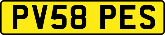 PV58PES