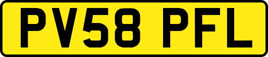 PV58PFL