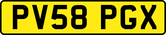 PV58PGX