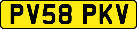 PV58PKV