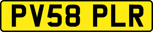 PV58PLR