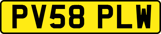 PV58PLW