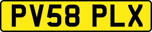 PV58PLX
