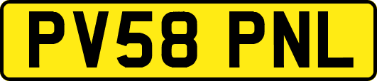 PV58PNL