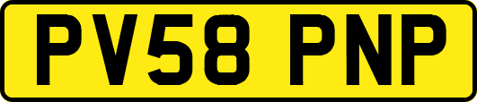 PV58PNP