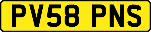 PV58PNS