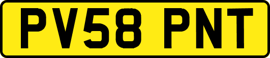 PV58PNT