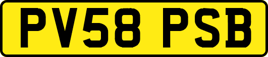 PV58PSB