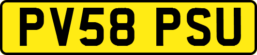 PV58PSU