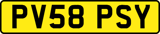 PV58PSY